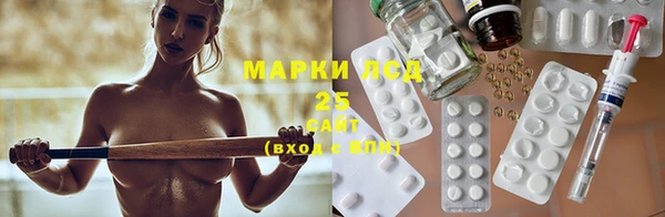 PSILOCYBIN Горняк