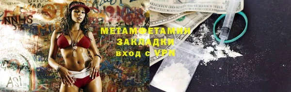 PSILOCYBIN Горняк