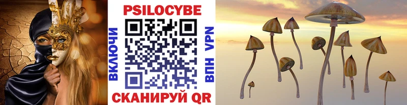 площадка какой сайт  мега как войти  Обь  хочу   Псилоцибиновые грибы Psilocybe 