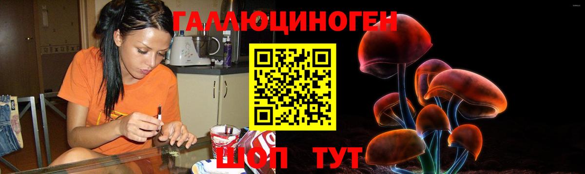хочу   Псилоцибиновые грибы GOLDEN TEACHER  Вход с VPN  Галлюциногенные грибы MAGIC MUSHROOMS  Обь 