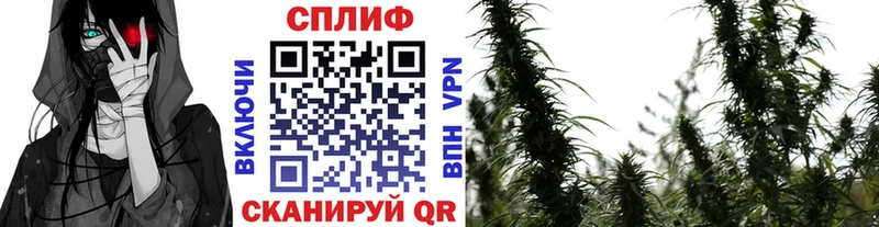 наркошоп  Обь  Бошки Шишки Amnesia 